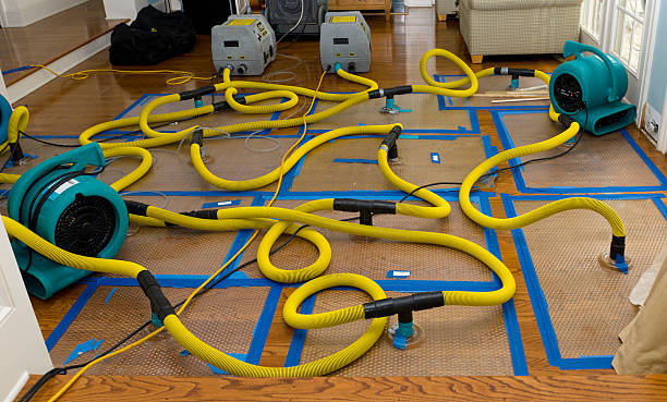 Professional Basement Flood Cleanup technician working in Shingle Springs, CA